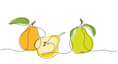 Three colored vector pears with leaves in one line techniqueのイラスト素材
