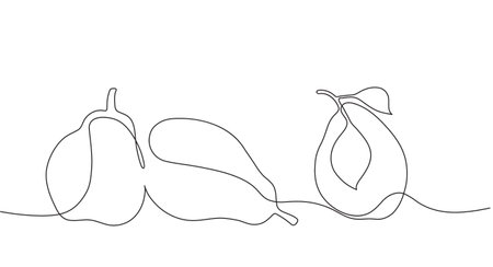 Linear vector drawing of pears in minimalist doodle styleのイラスト素材