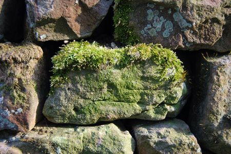 detail of an old stone wall with moss growing on the stonesの写真素材