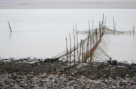 Fishing net seen near Creetown Scotland going out from the beach into the Firth