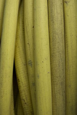 detail of a rolled up garden hoseの写真素材