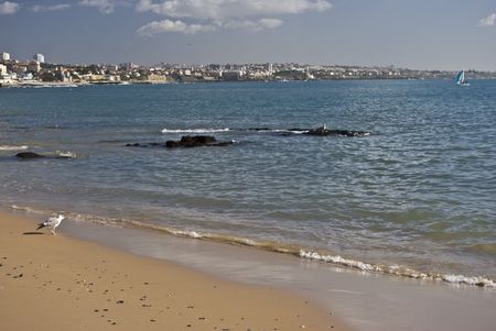 part of the beautiful beach in Cascais near Lisbonの写真素材