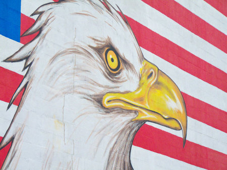graffiti of an eagle with the american flag in the backgroundの写真素材