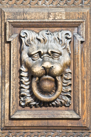 part of an old wooden door with the face of a lion