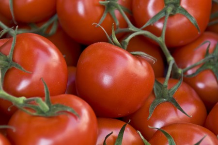 many fresh red tomatos with shallow dofの写真素材