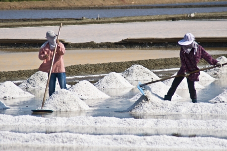 detail of huge salines at the coast of Thailandの写真素材