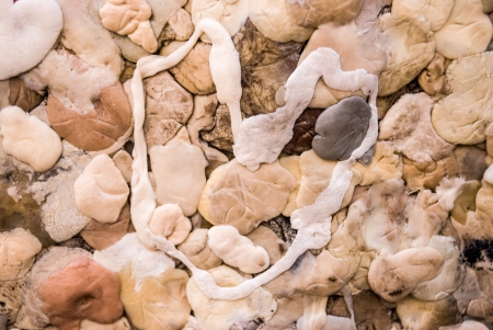 bubblegum in the shape of a heart on many other bubblegumsの写真素材