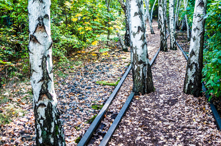 part of the Schoeneberger Suedgelaende Nature Park in Berlinの写真素材