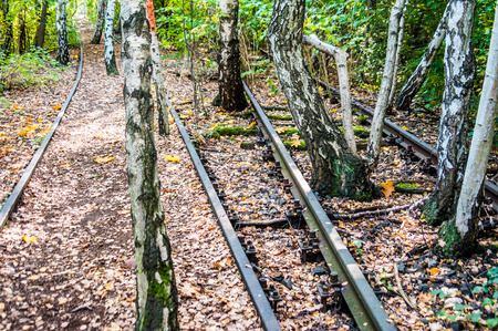 part of the Schoeneberger Suedgelaende Nature Park in Berlinの写真素材