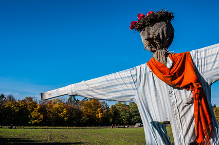 Scarecrow in a field on a sunny dayの写真素材
