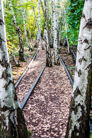 part of the Schoeneberger Suedgelaende Nature Park in Berlinの写真素材