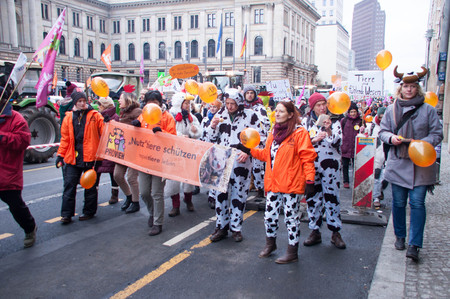 BERLIN, GERMANY - JANUARY 16: Demonstration "Wir haben es satt!" against the agricultural industry on January 16, 2016 in Berlin, Germanyのeditorial素材