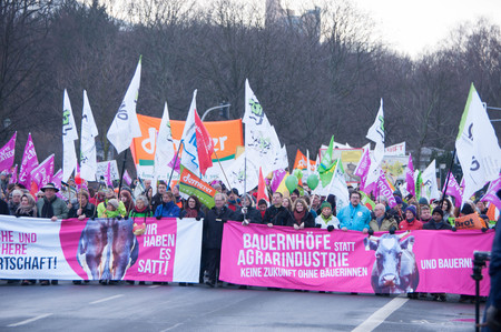 BERLIN, GERMANY - JANUARY 16: Demonstration "Wir haben es satt!" against the agricultural industry on January 16, 2016 in Berlin, Germanyのeditorial素材