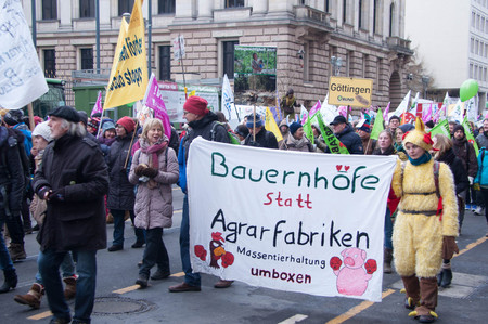 BERLIN, GERMANY - JANUARY 16: Demonstration "Wir haben es satt!" against the agricultural industry on January 16, 2016 in Berlin, Germanyのeditorial素材