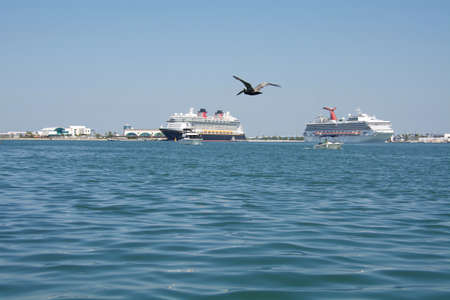 Cruise shipsの素材