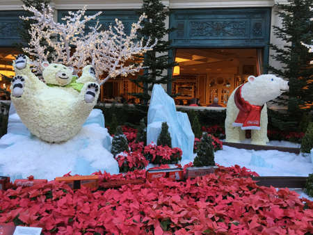 Christmas gardeningの素材