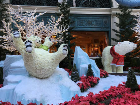 Christmas gardeningの素材
