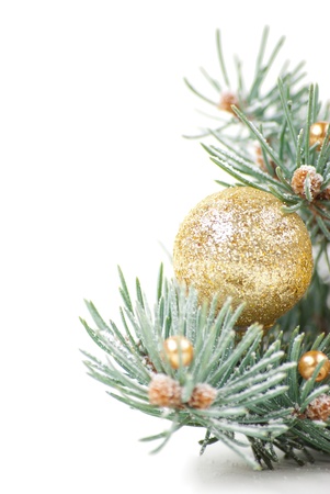 Christmas decorations with branch of Christmas tree on white backgroundの写真素材