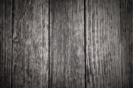 The background of wood for designの写真素材