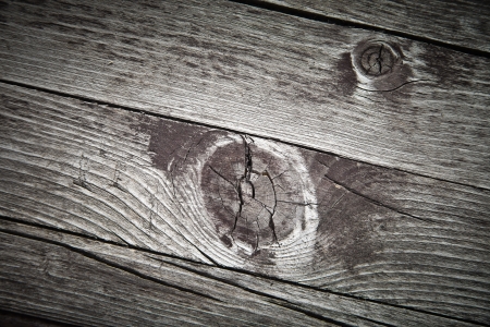 The background of wood for designの写真素材