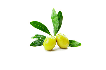 Olives with leaves on branch isolated on a white backgroundの写真素材