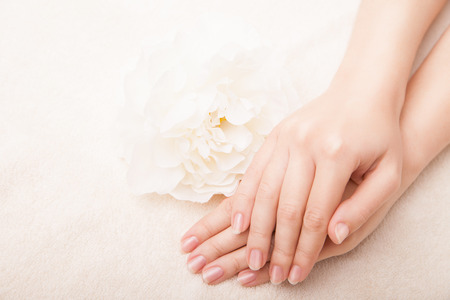 Beautiful hand with perfect nail french manicure and white flowerの写真素材