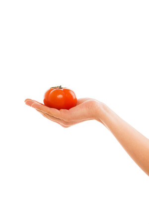 Beautiful female hand holding a perfect red tomato isolated on white backgroundの写真素材