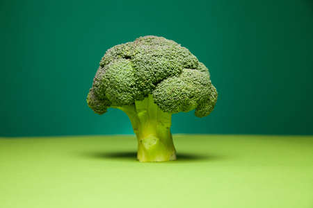 Green nutrient broccoli against two color backgroundの写真素材