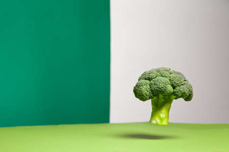 Fresh broccoli head hanging in green studioの写真素材