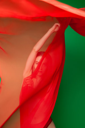 Slim woman in red underwear with veilの写真素材