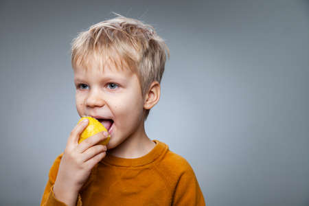 Happy child eating lemon in gray studioの写真素材