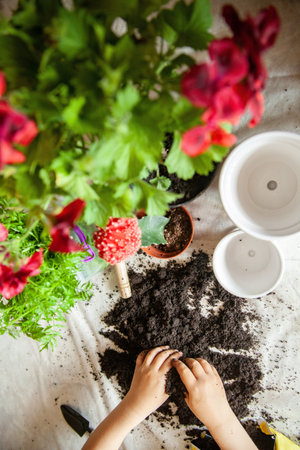 Crop child playing with soil while gardening on tableの写真素材