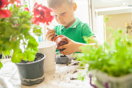 Boy in green t shirt gardening on table at homeの写真素材