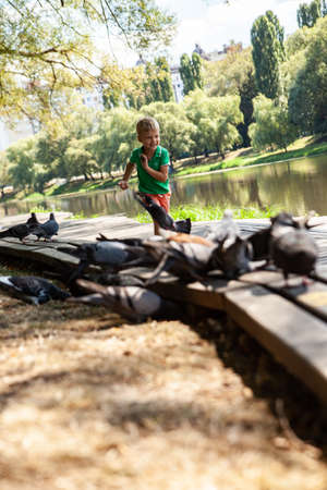 Little boy running on wooden path in summer dayの写真素材