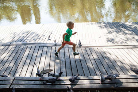 Little boy running on wooden path in summer dayの写真素材