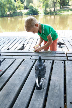 Little kid feeding pigeons on street in summer day in parkの写真素材