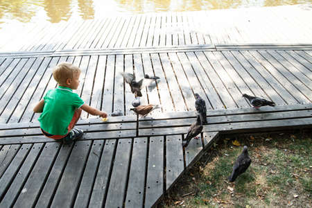Little kid feeding pigeons on street in summer day in parkの写真素材