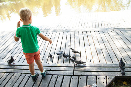 Little kid feeding pigeons on street in summer day in parkの写真素材