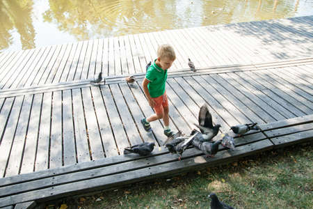 Little boy running on wooden path in summer dayの写真素材