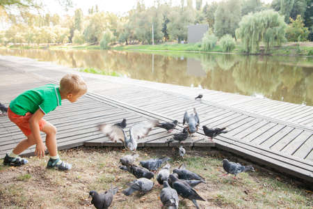 Little boy running on wooden path in summer dayの写真素材