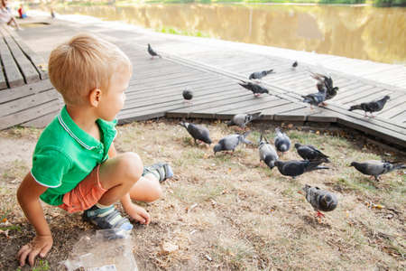 Side view of happy kid observing birds in parkの写真素材