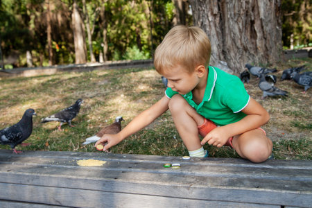 Little kid feeding pigeons on street in summer day in parkの写真素材