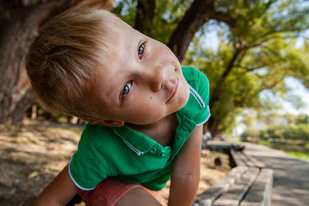 Cute child crawling on bench in parkの写真素材