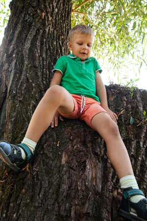 Little boy sitting on tree in parkの写真素材