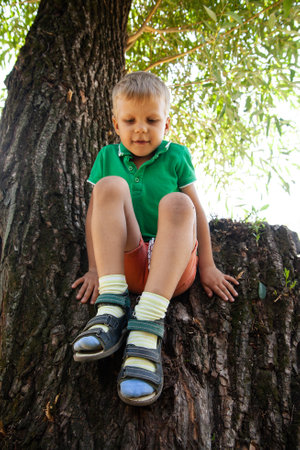 Little boy sitting on tree in parkの写真素材