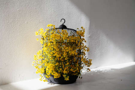 Bird cage with yellow flowers for home decorの写真素材