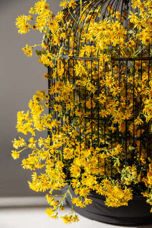 Bird cage with yellow flowers for home decorの写真素材