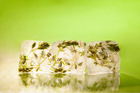 Ice cubes with flower bud on tableの写真素材