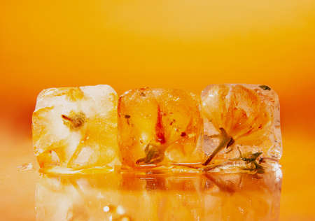 Ice cubes with flower bud on tableの写真素材
