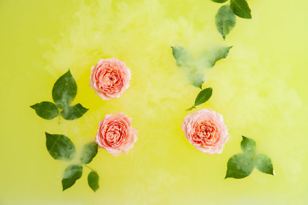 Rose buds and leaves in yellow water in bath